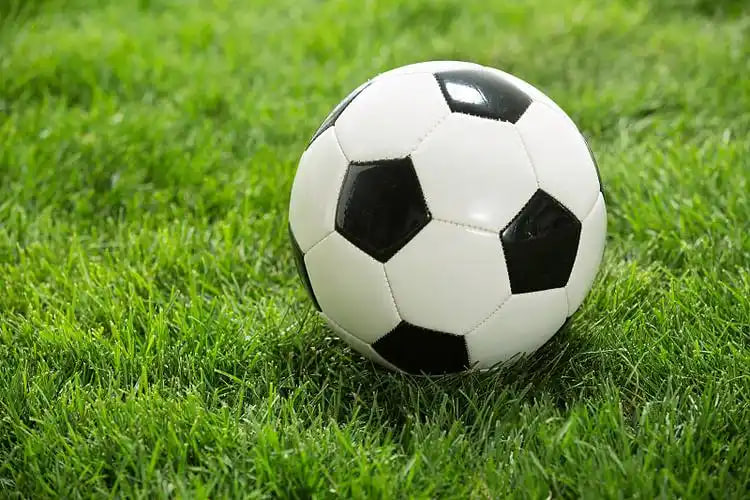 竞彩玩家分析数据场景